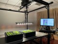 呢科技 新华视点｜上海农业科技“含金量”拉满，小体量迸发大动能