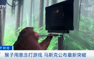 会玩黑科技 马斯克硬核黑科技！这只猴子大脑被“改造”，能用意念玩游戏，网友：比我玩得好