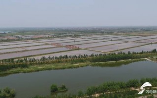 兴济科技 盐碱地变成“水上粮仓”——沧县兴济镇南堤村水产养殖绘就乡村振兴新图景